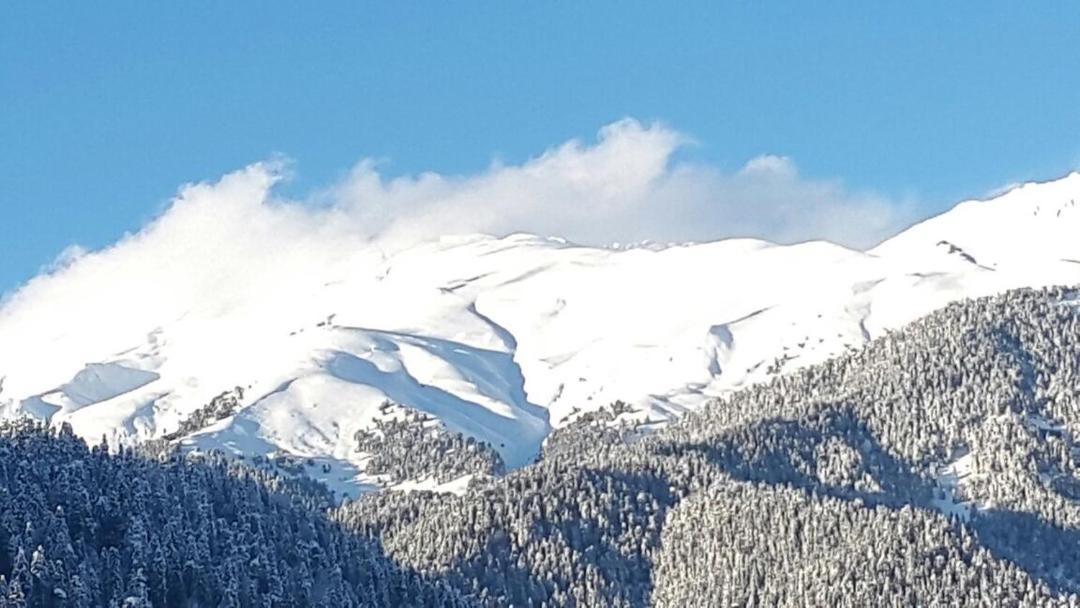 Photo of Others in Arkhyz