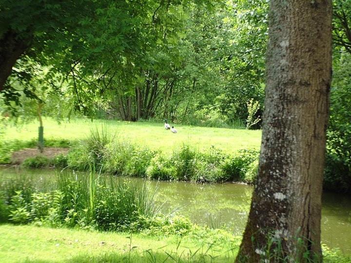 Photo of Others in Cernoy-en-Berry