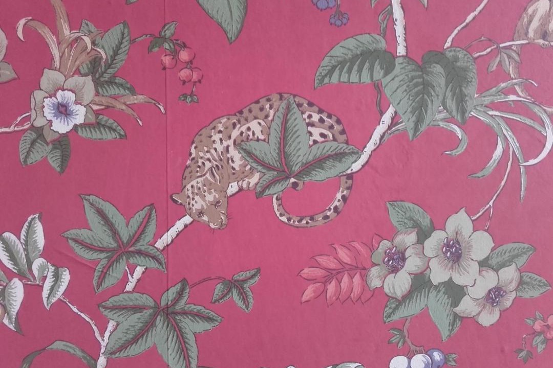 Photo of Others in Calais City Center