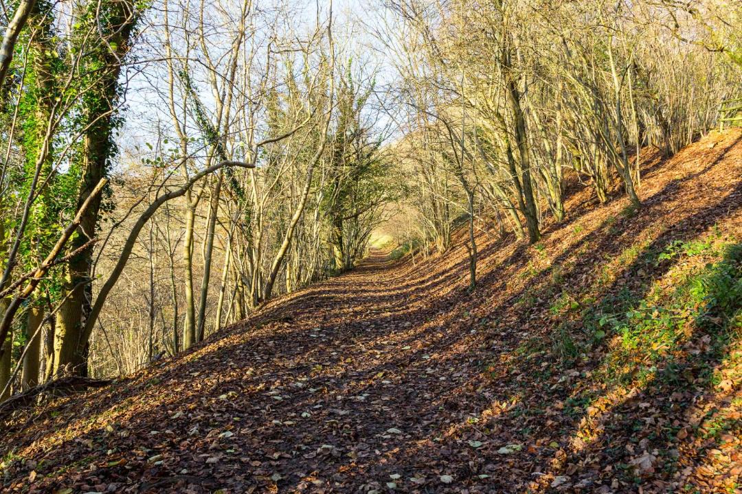 Photo of Others in Castle Combe