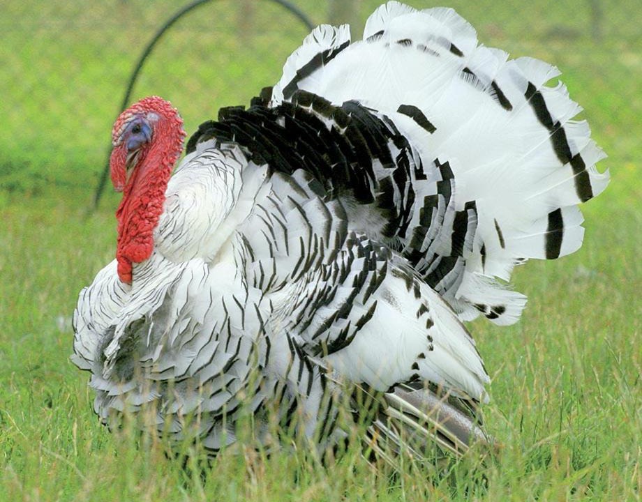 Photo of Others in Lussault-sur-Loire