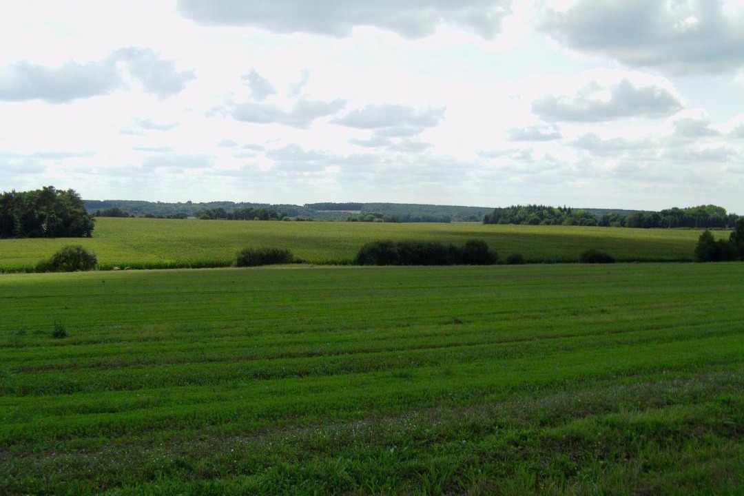 Photo of Others in Ploermel