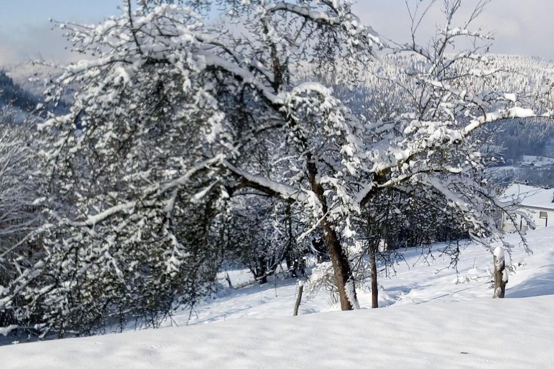 Photo of Others in Le Tholy