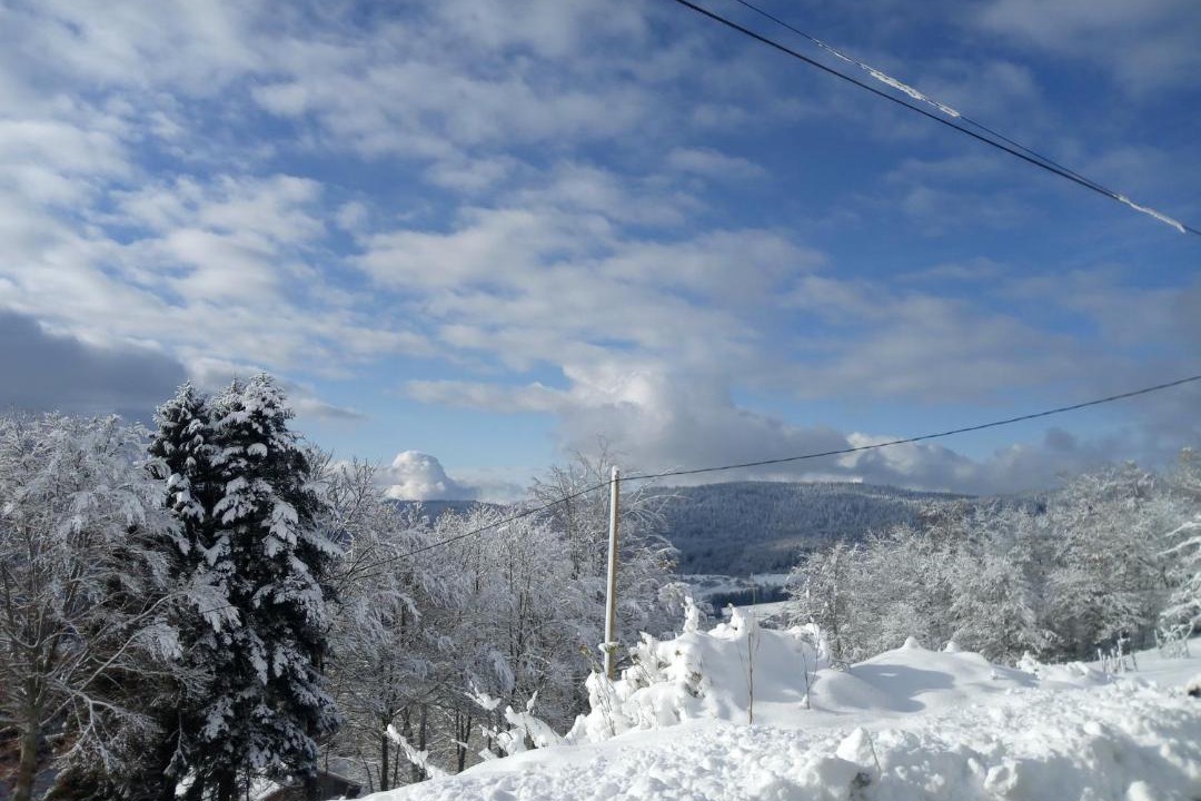 Photo of Others in Le Tholy