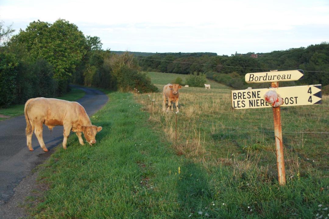 Photo of Others in Bellenaves