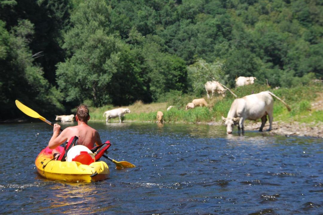Photo of Others in Bellenaves
