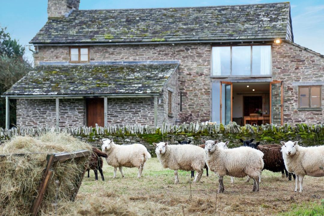 Photo of Others in Westbrook Court