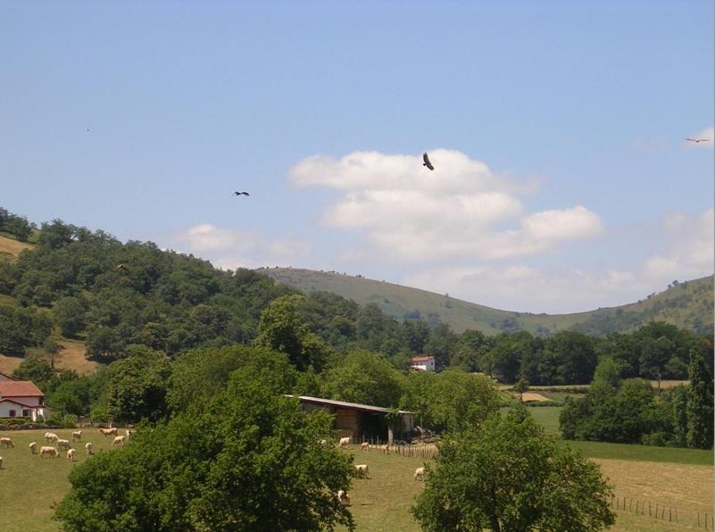 Photo of Others in Larceveau-Arros-Cibits