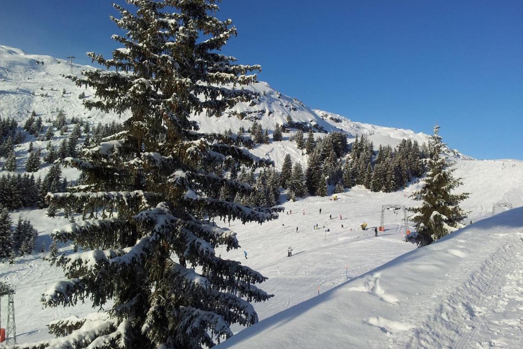 Photo of Others in Riederalp