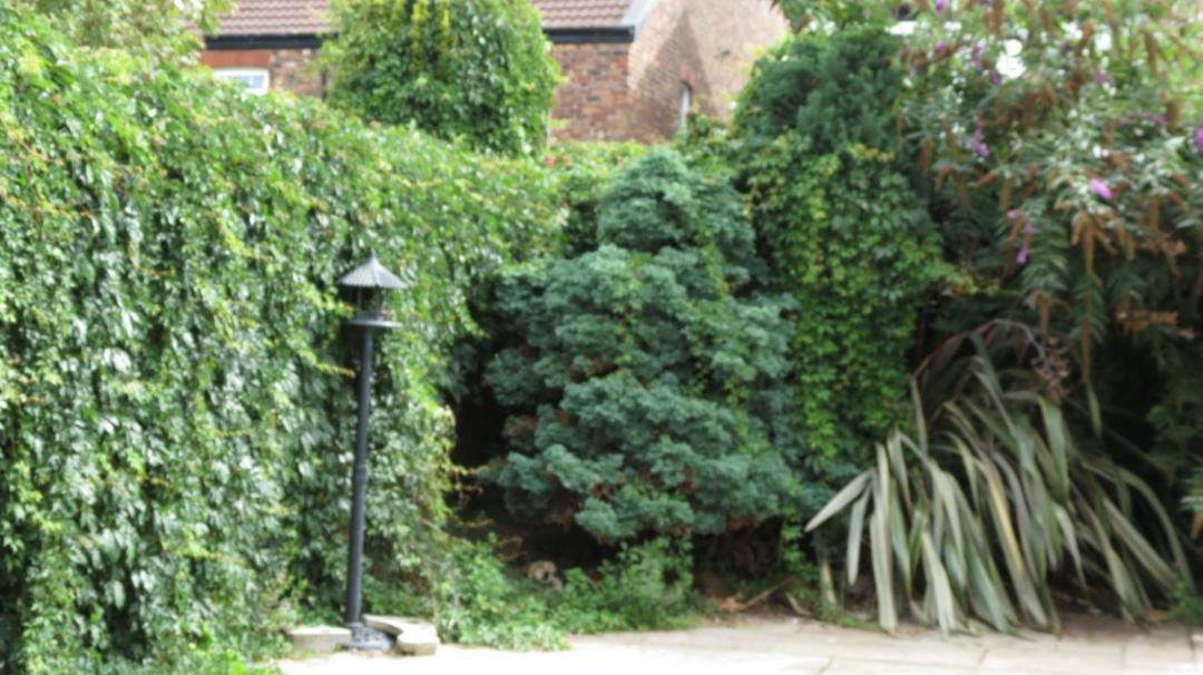 Photo of Others in Waterloo