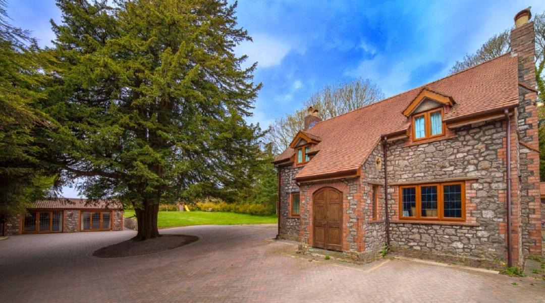 Photo of Others in Lulsgate Bottom