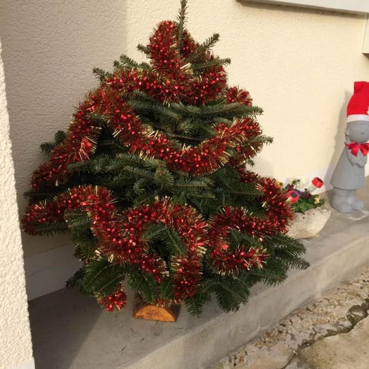 Photo of Others in Senlis