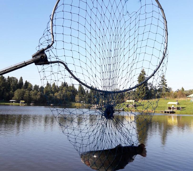 Photo of Outdoor in Zvenigorod