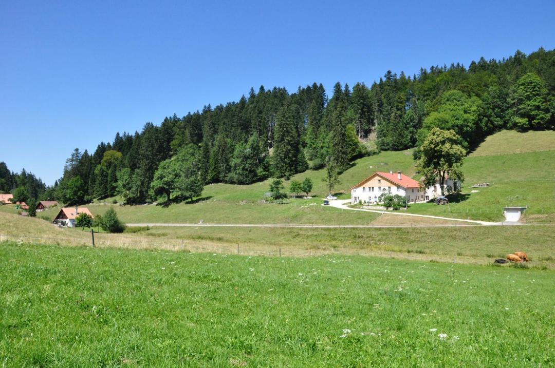 Photo of Others in Le Locle