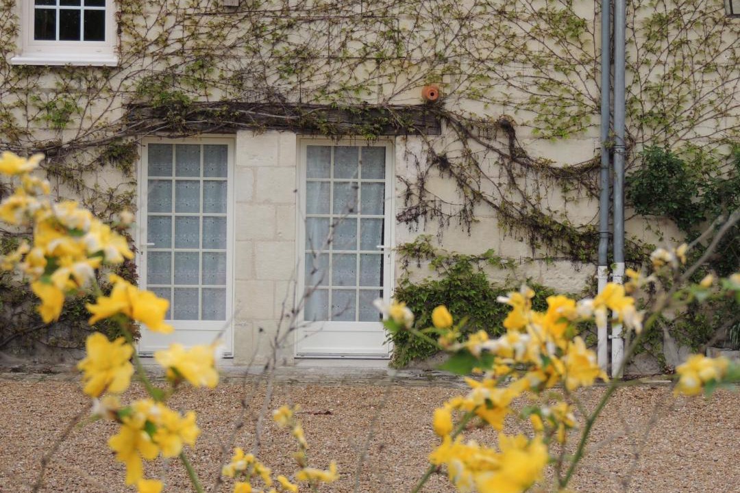 Photo of Others in Saint-Lambert-des-Levees