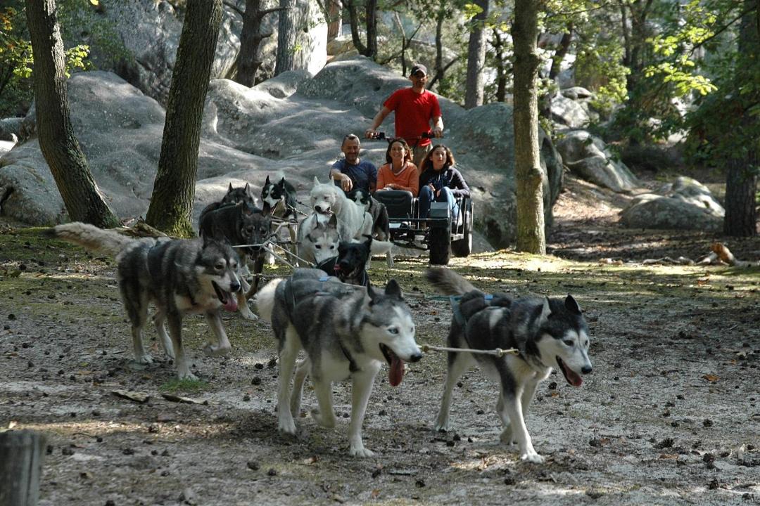 Photo of Others in Chailly-en-Biere