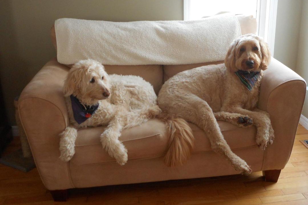 Photo of Others in Grand Falls