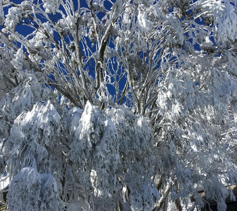 Photo of Others in Falls Creek