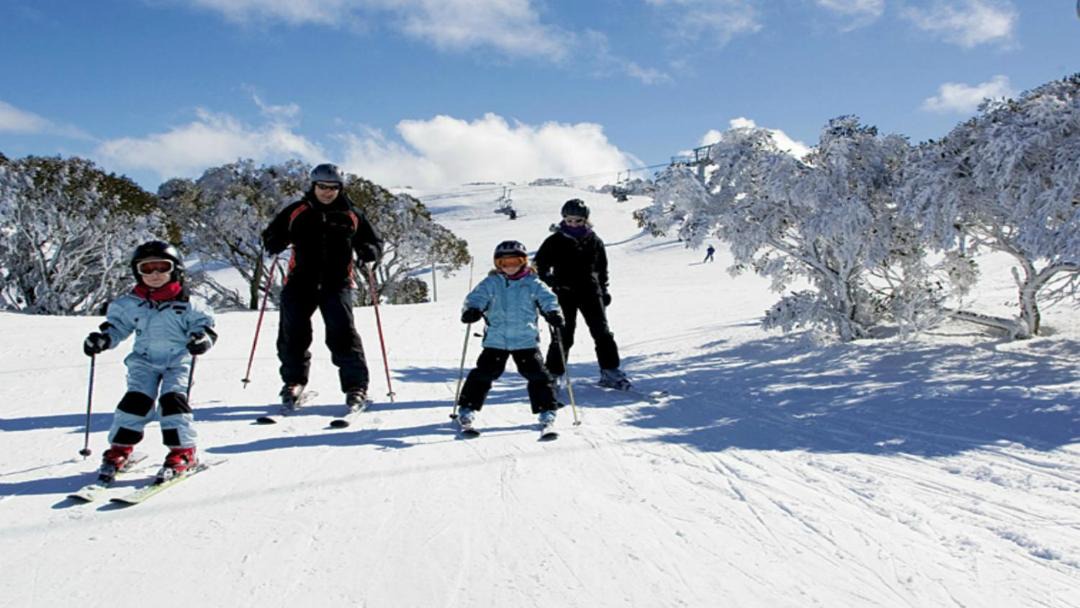 Photo of Human In Picture in Falls Creek