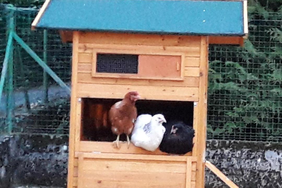 Photo of Others in Attignat-Oncin