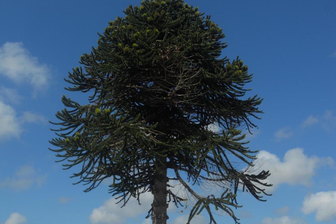 Photo of Others in Treguier