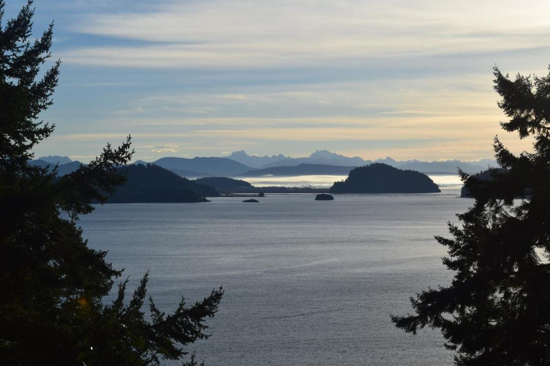 Photo of Others in Oak Harbor