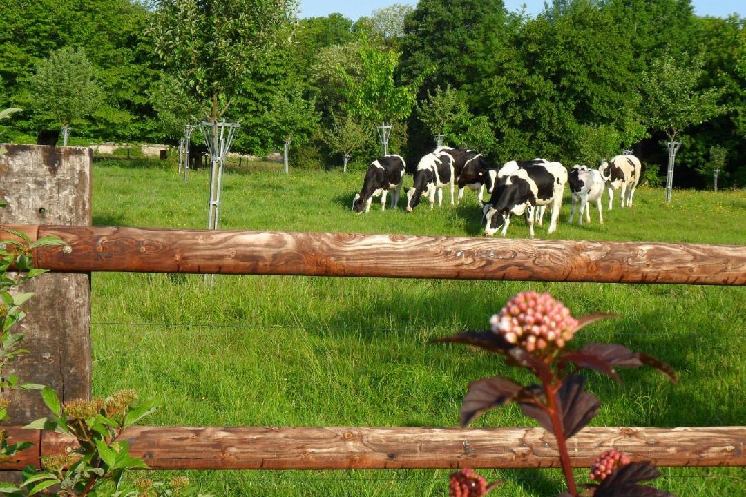 Photo of Others in Barneville-sur-Seine