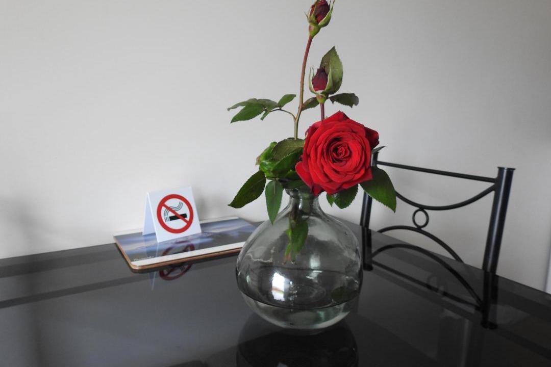 Photo of Others in Hawera