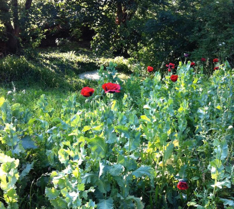 Photo of Others in Pylle