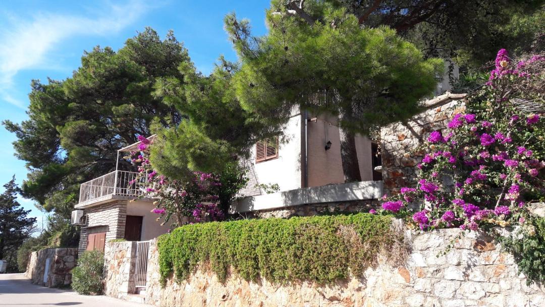 Photo of Buildings in Island Hvar