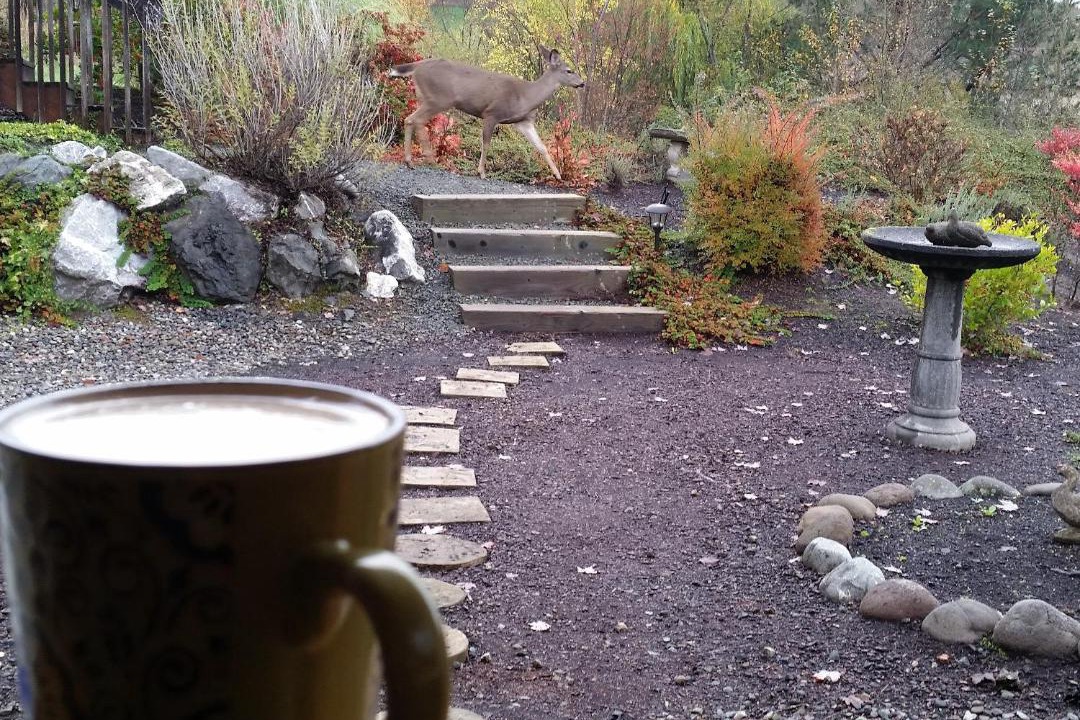 Photo of Others in Myrtle Creek