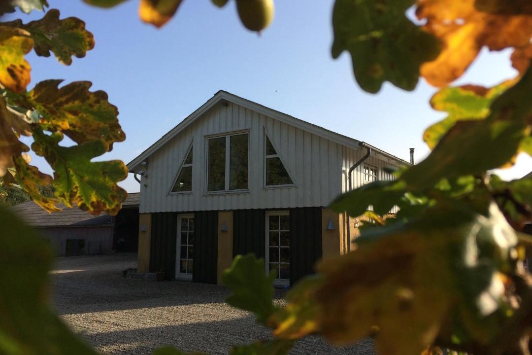 Photo of Others in Soro