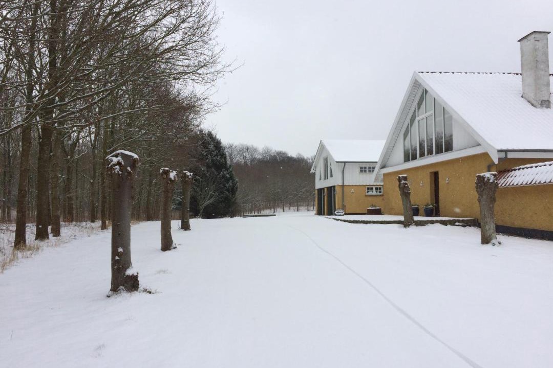 Photo of Others in Soro