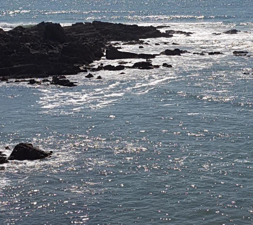 Photo of Outdoor in Moelan-sur-Mer