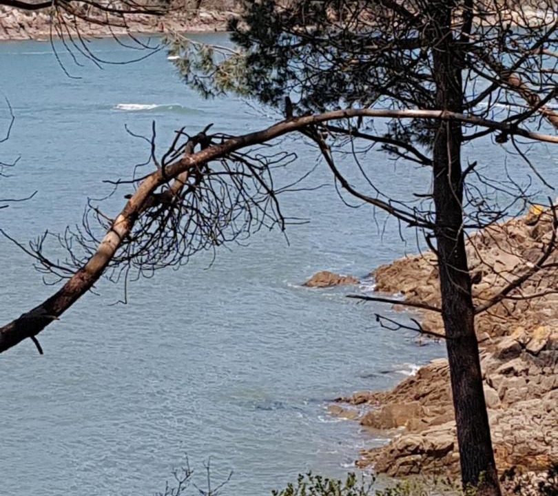 Photo of Outdoor in Moelan-sur-Mer