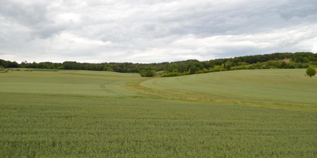 Photo of Others in Scorbe-Clairvaux