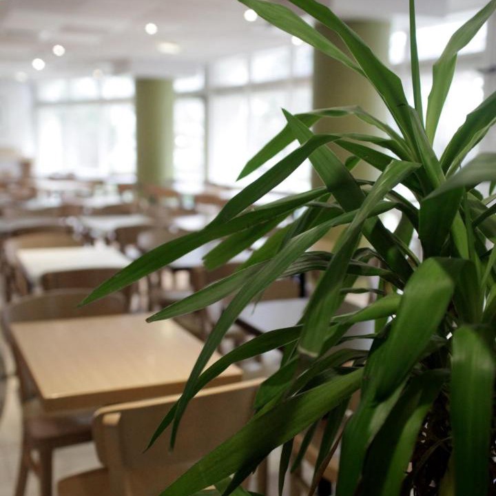 Photo of Others in Malakoff