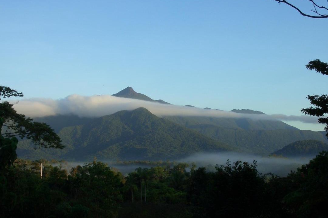 Photo of Others in Cow Bay