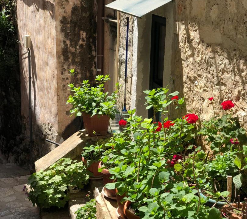Photo of Others in Dubrovnik Old Town