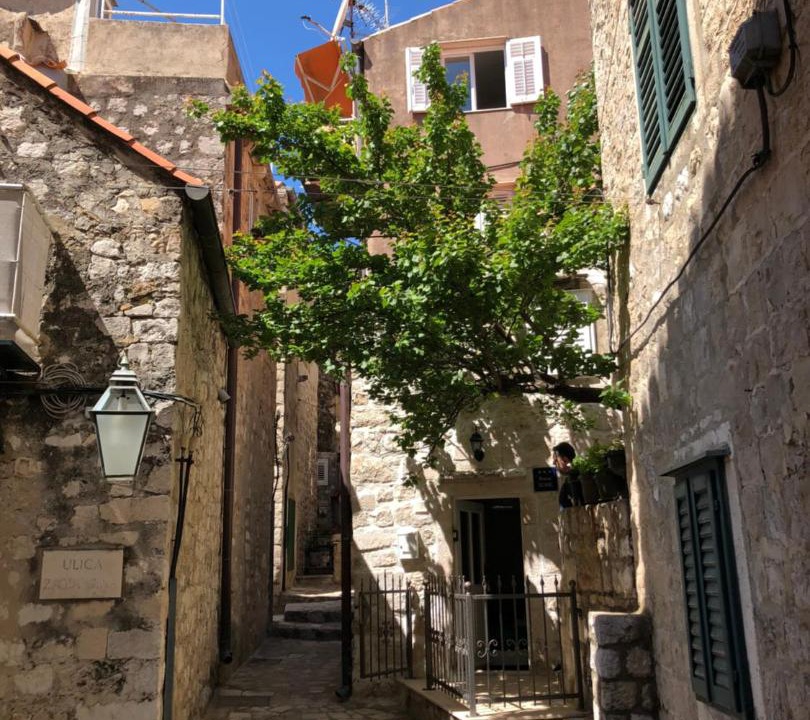 Photo of Others in Dubrovnik Old Town