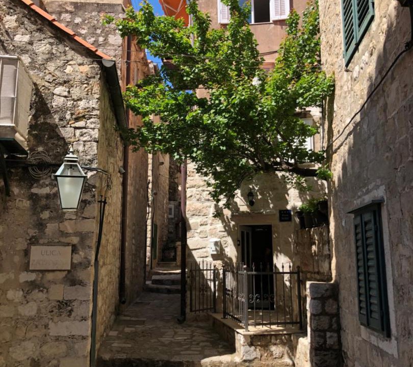 Photo of Others in Dubrovnik Old Town