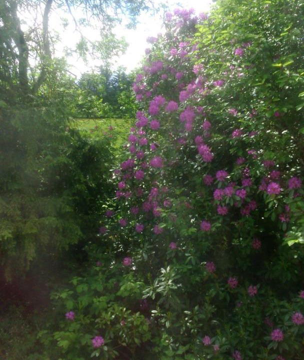 Photo of Others in Aberdeen