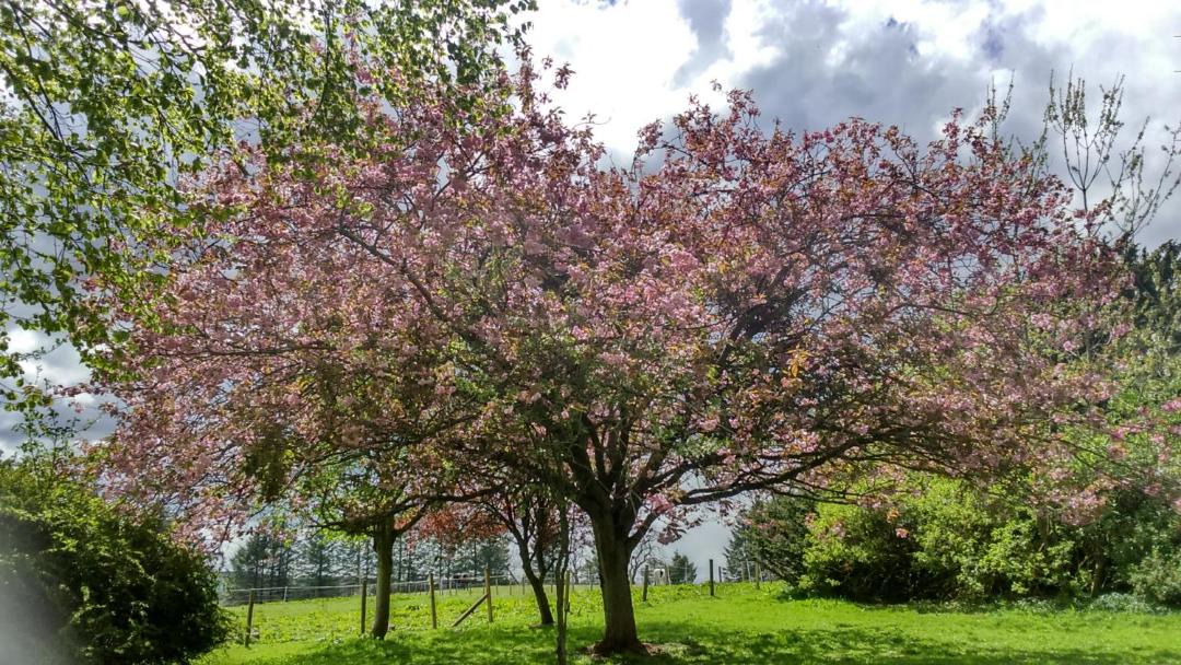 Photo of Others in Aberdeen