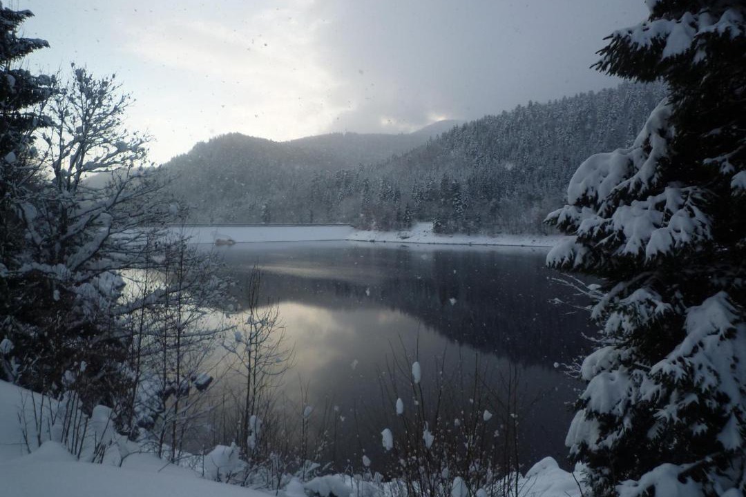 Photo of Others in Husseren-Wesserling