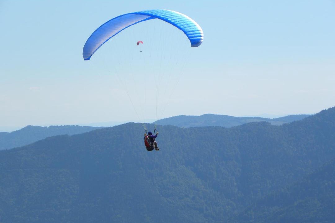 Photo of Others in Husseren-Wesserling