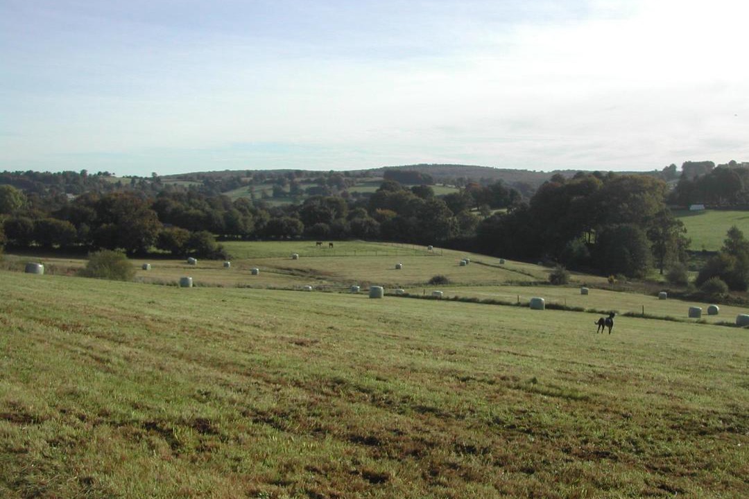 Photo of Others in Coulouvray-Boisbenatre