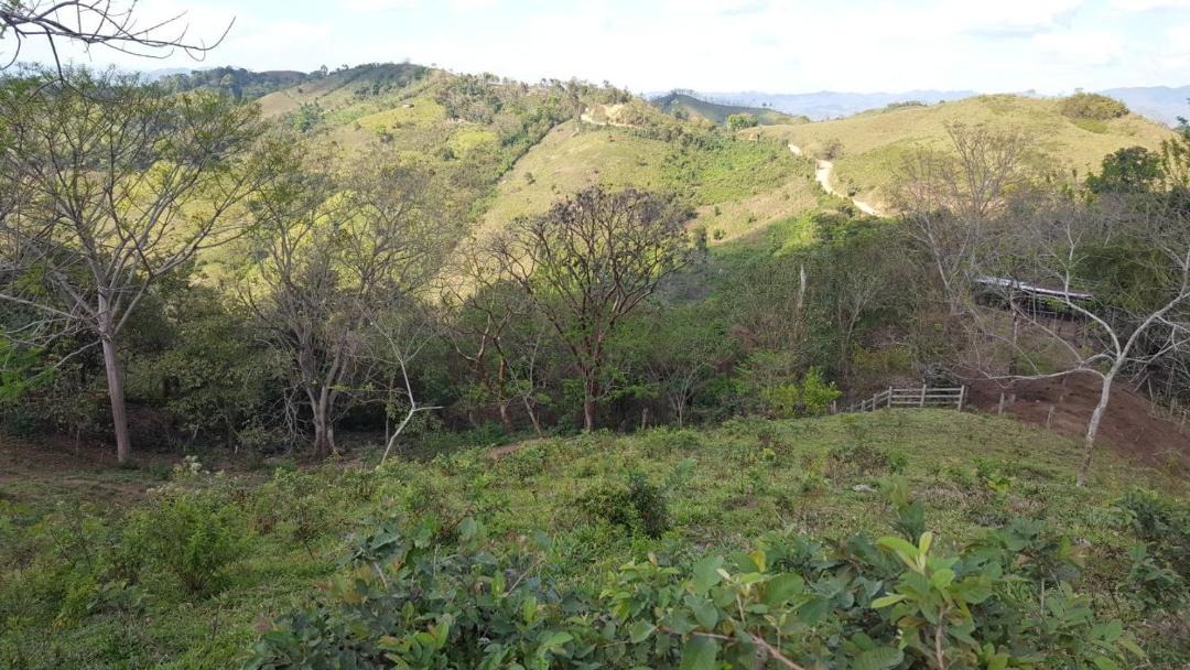 Photo of Others in Oronoz