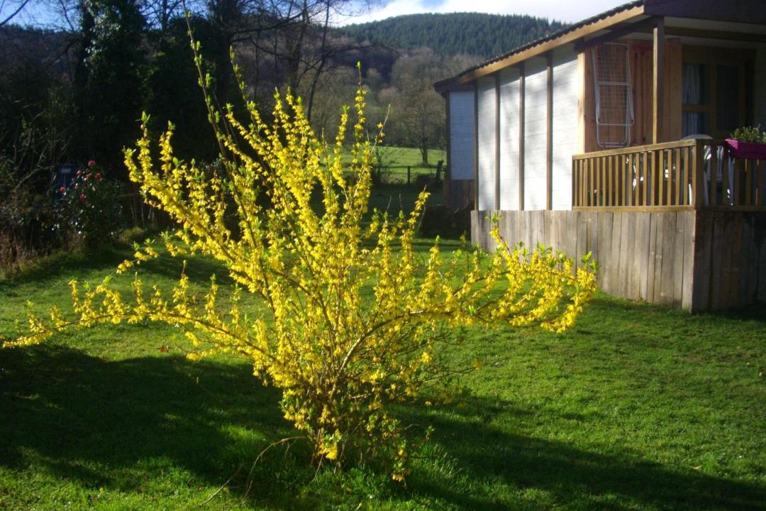 Photo of Others in Alzen