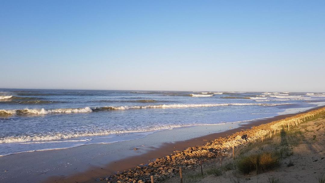 Photo of Others in La Tranche-sur-Mer