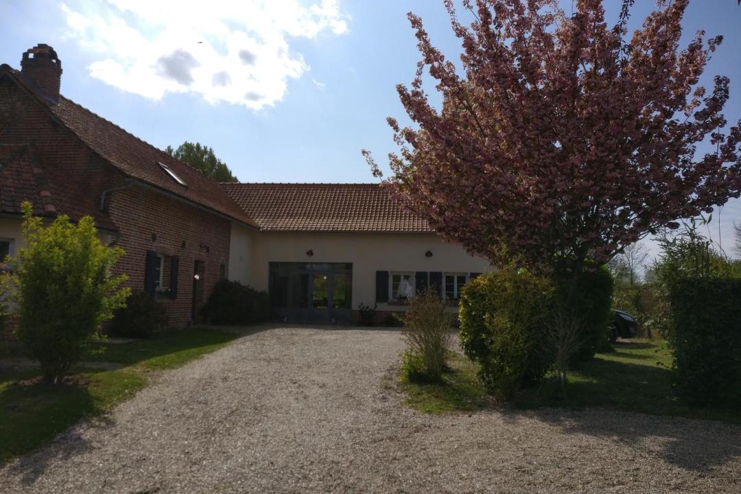 Photo of Others in Arrest